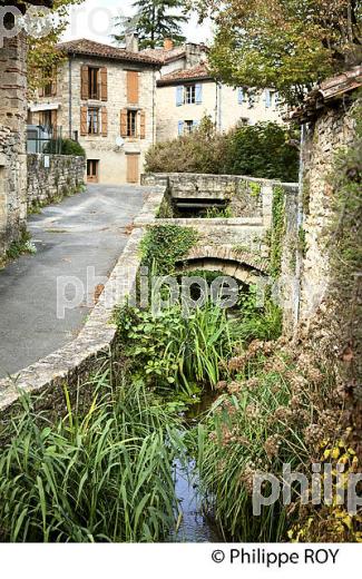 SAINT-ANTONIN-NOBLE-VAL, GORGES  DE L' AVEYRON,TARN ET GARONNE. (82F01729.jpg)