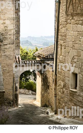 LE  VILLAGE FORTIFIE DE MONTPEZAT-DE-QUERCY, QUERCY BLANC,TARN-ET-GARONNE. (82F02106.jpg)