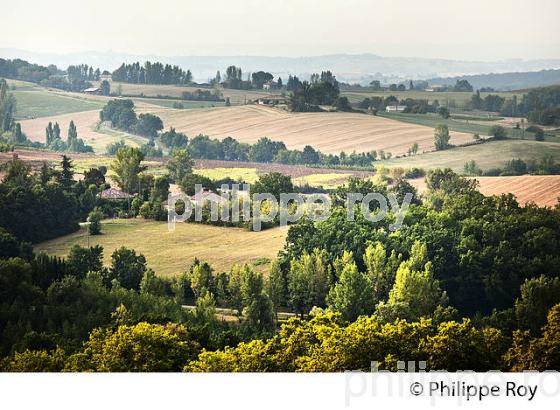 LE  VILLAGE FORTIFIE DE MONTPEZAT-DE-QUERCY, QUERCY BLANC,TARN-ET-GARONNE. (82F02112.jpg)