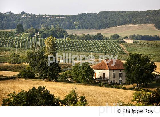 PAYSAGE AGRICOLE, COMMUNE DE VALEILLES, QUERCY BLANC,TARN-ET-GARONNE. (82F02130.jpg)