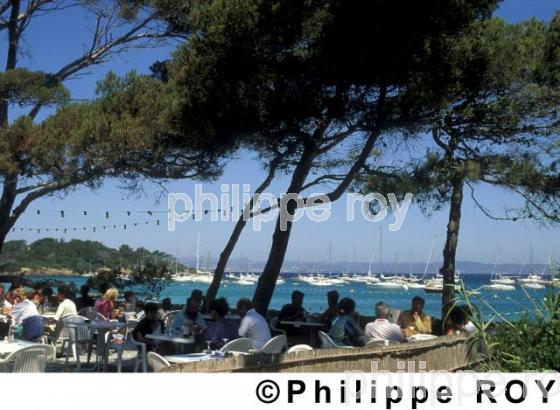 Ile de Porquerolles (83F00112.jpg)
