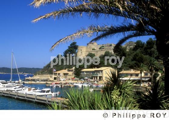Ile de Port Cros (83F00134.jpg)