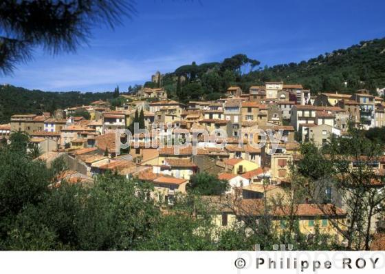 La cte d'azur (83F00137.jpg)