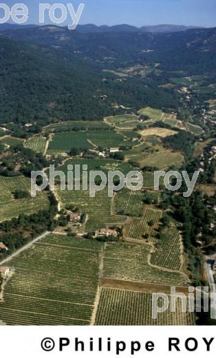 Vignoble du Var (83V00107.jpg)