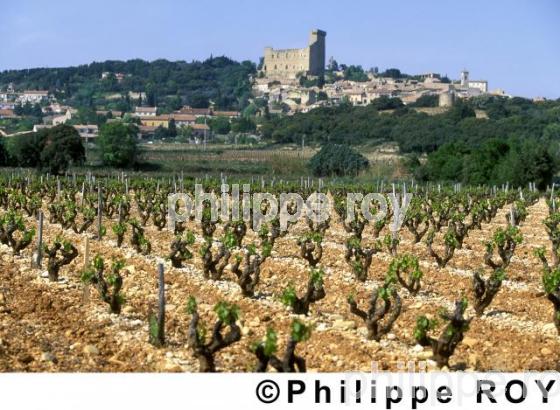 Vignoble de Ctes du Rhne (84V00101.jpg)
