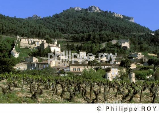 Le vignoble des Ctes du Rhne (84V00231.jpg)