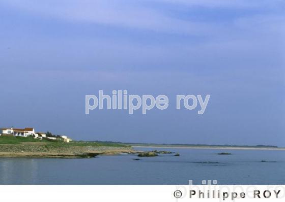 Ile de Noirmoutier (85F00238.jpg)