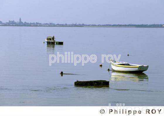 Ile de Noirmoutier (85F00301.jpg)