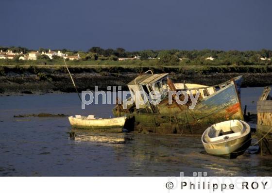 Ile de Noirmoutier (85F00705.jpg)