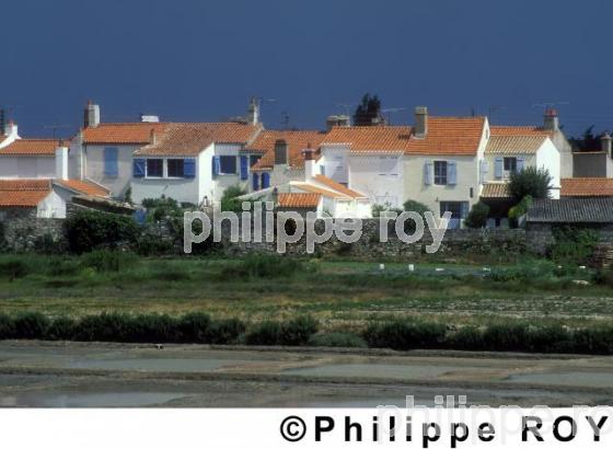 Ile de Noirmoutier (85F00720.jpg)
