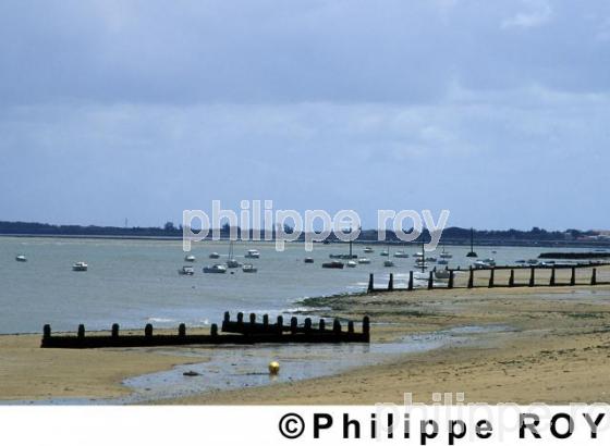 Ile de Noirmoutier (85F00729.jpg)