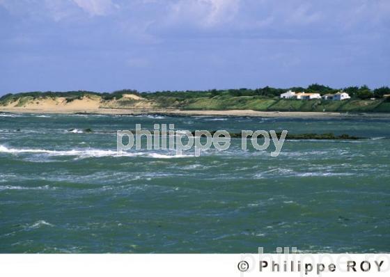 Ile de Noirmoutier (85F00733.jpg)
