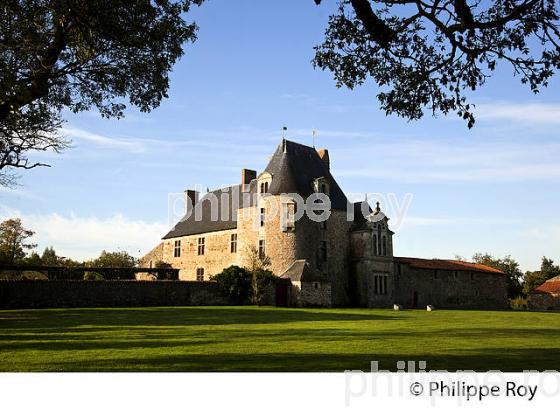 HISTOIRE DE LA VENDEE, PAYS DE LA LOIRE, FRANCE (85F00817.jpg)