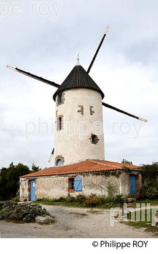 VILLE DE CHALLANS ET SES ENVIRONS, POITOU, VENDEE, FRANCE (85F01412.jpg)