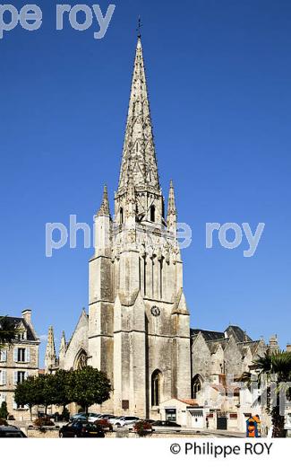 VILLE DE FONTENAY-LE-COMTE, VENDEE, FRANCE (85F01418.jpg)