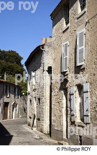 VILLE DE FONTENAY-LE-COMTE, VENDEE, FRANCE (85F01613.jpg)