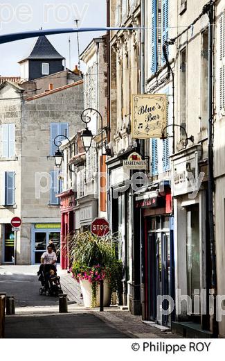 VILLE DE FONTENAY-LE-COMTE, VENDEE, FRANCE (85F01618.jpg)