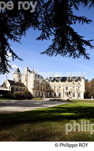 VILLE DE FONTENAY-LE-COMTE, VENDEE, FRANCE (85F01708.jpg)