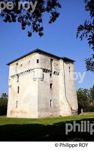 CHATEAUX ET MONUMENTS, MARAIS POITEVIN, VENDEE, FRANCE (85F02206.jpg)
