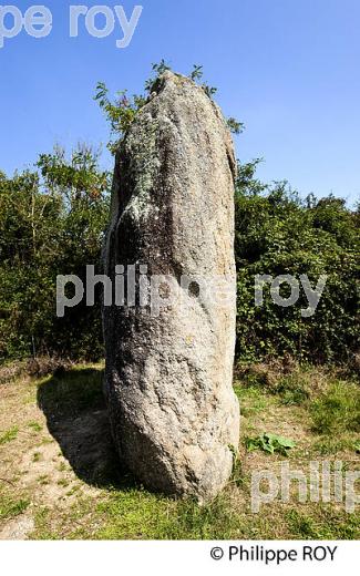 MEGALITHES, ARCHEOLOGIE EN VENDEE, FRANCE (85F02219.jpg)