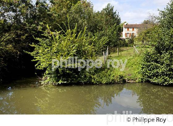 MAILLEZAIS ET LE MARAIS POITEVIN, VENDEE, FRANCE (85F02514.jpg)