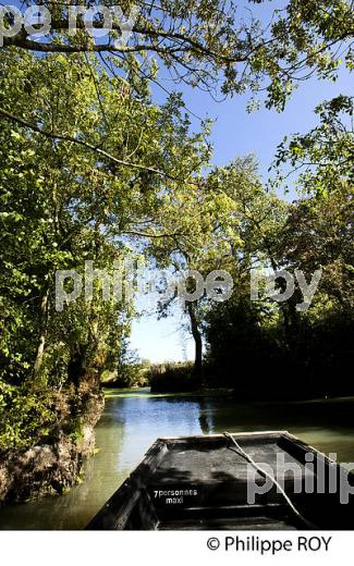 MAILLEZAIS ET LE MARAIS POITEVIN, VENDEE, FRANCE (85F02521.jpg)