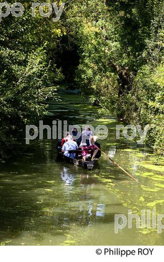 MAILLEZAIS ET LE MARAIS POITEVIN, VENDEE, FRANCE (85F02523.jpg)