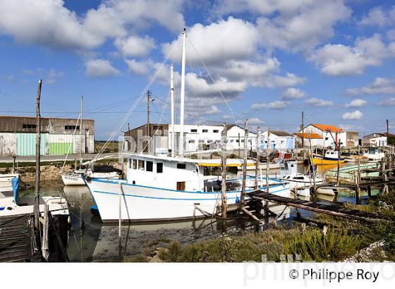 MARAIS BRETON, COTE ATLANTIQUE, VENDEE, FRANCE (85F03414.jpg)