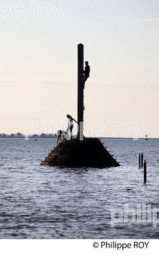 MARAIS BRETON, COTE ATLANTIQUE, VENDEE, FRANCE (85F03519.jpg)