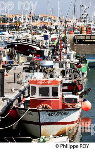 ILE DE NOIRMOUTIER, COTE ATLANTIQUE, VENDEE, FRANCE (85F03732.jpg)