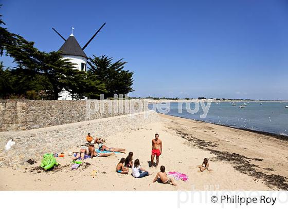 ILE DE NOIRMOUTIER, COTE ATLANTIQUE, VENDEE, FRANCE (85F03903.jpg)