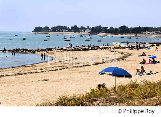 ILE DE NOIRMOUTIER, COTE ATLANTIQUE, VENDEE, FRANCE (85F03904.jpg)