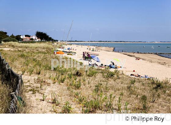 ILE DE NOIRMOUTIER, COTE ATLANTIQUE, VENDEE, FRANCE (85F03905.jpg)