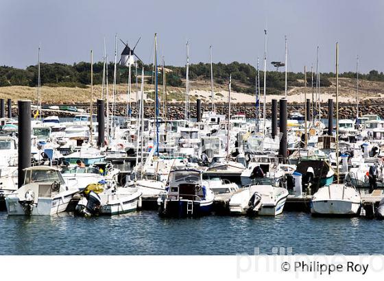 ILE DE NOIRMOUTIER, COTE ATLANTIQUE, VENDEE, FRANCE (85F03915.jpg)