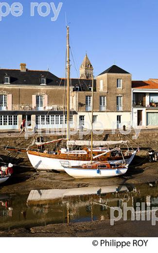 ILE DE NOIRMOUTIER, COTE ATLANTIQUE, VENDEE, FRANCE (85F04110.jpg)