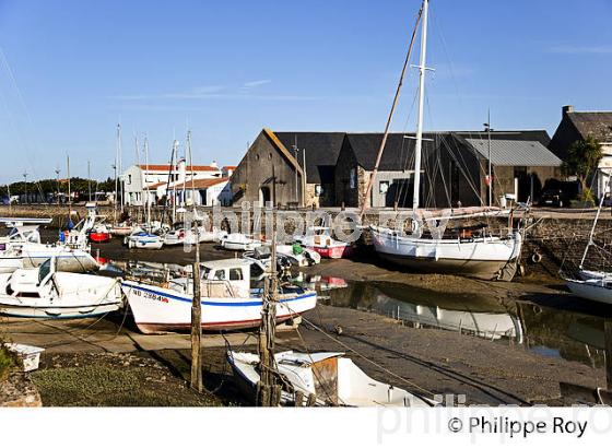 ILE DE NOIRMOUTIER, COTE ATLANTIQUE, VENDEE, FRANCE (85F04122.jpg)