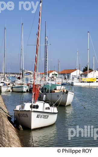 ILE DE NOIRMOUTIER, COTE ATLANTIQUE, VENDEE, FRANCE (85F04131.jpg)