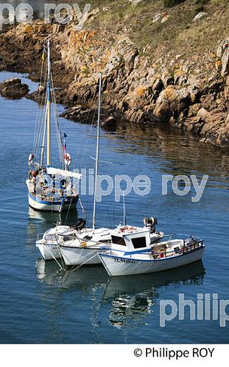 ILE D'YEU, COTE ATLANTIQUE, VENDEE, FRANCE // (85F04417.jpg)