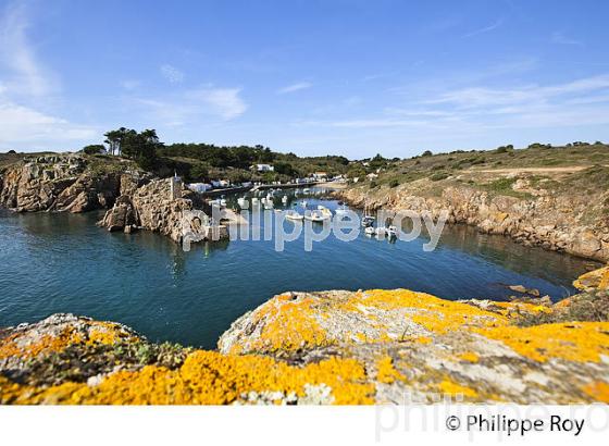 ILE D'YEU, COTE ATLANTIQUE, VENDEE, FRANCE // (85F04424.jpg)