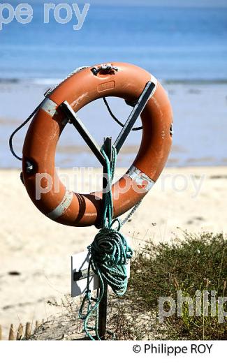 ILE D'YEU, COTE ATLANTIQUE, VENDEE, FRANCE // (85F04501.jpg)