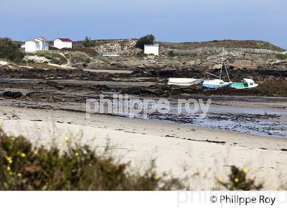 ILE D'YEU, COTE ATLANTIQUE, VENDEE, FRANCE // (85F04506.jpg)