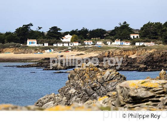 ILE D'YEU, COTE ATLANTIQUE, VENDEE, FRANCE // (85F04507.jpg)