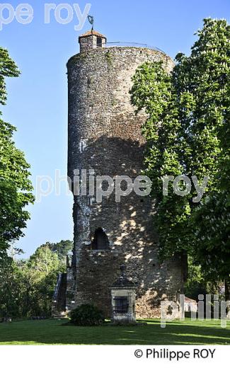 VOUVANT, CITE MEDIEVALE, VENDEE, FRANCE (85F06101.jpg)