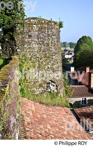 VOUVANT, CITE MEDIEVALE, VENDEE, FRANCE (85F06102.jpg)