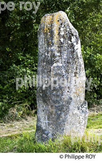 PIERRE A CUPULES, LEGENDES, MEGALITHES, DES MONTS DE BLOND, HAUTE-VIENNE, HAUT-LIMOUSIN. (87F00914.jpg)