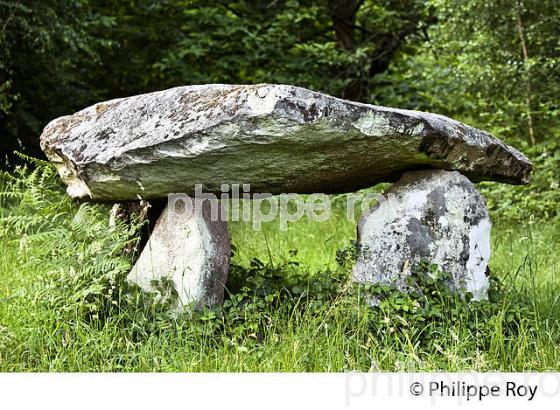 DOLMEN,  MEGALITHES DES  MONTS DE BLOND, HAUTE-VIENNE, HAUT-LIMOUSIN. (87F00917.jpg)