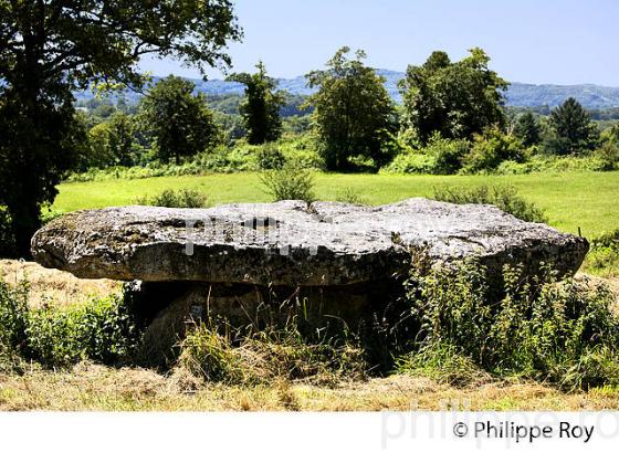 DOLMEN DE LA LUE,  MEGALITHE,  MONTS DE BLOND, HAUTE-VIENNE, HAUT-LIMOUSIN (87F00934.jpg)