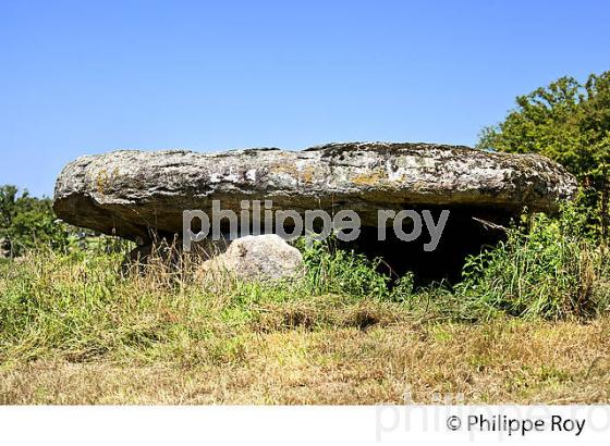 DOLMEN DE LA LUE,  MEGALITHE,  MONTS DE BLOND, HAUTE-VIENNE, HAUT-LIMOUSIN (87F00935.jpg)