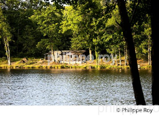 ETANG, MONTS DE BLOND, HAUTE-VIENNE, HAUT-LIMOUSIN. (87F01010.jpg)