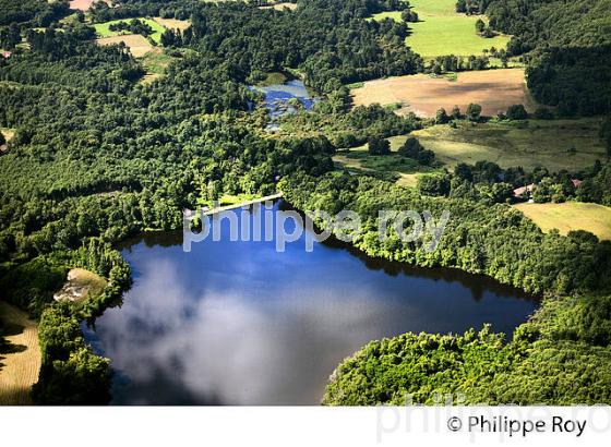 ETANG, MONTS DE BLOND, HAUTE-VIENNE, HAUT-LIMOUSIN. (87F01023.jpg)